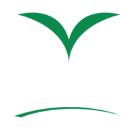 More Clean of Texas transparent background Logo